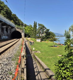 🏖️ Zone de Baignade de Funtelen – Alfermée