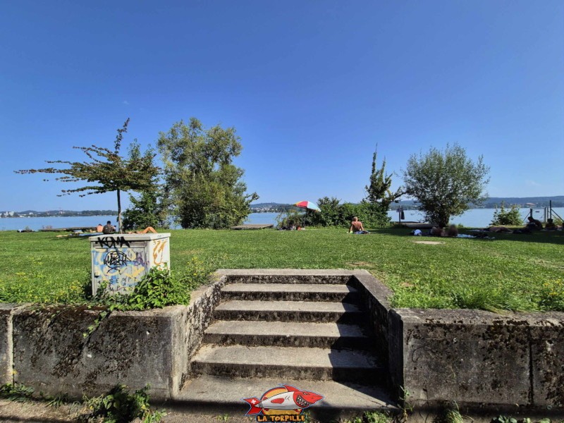 L'escalier au milieu de la plage.