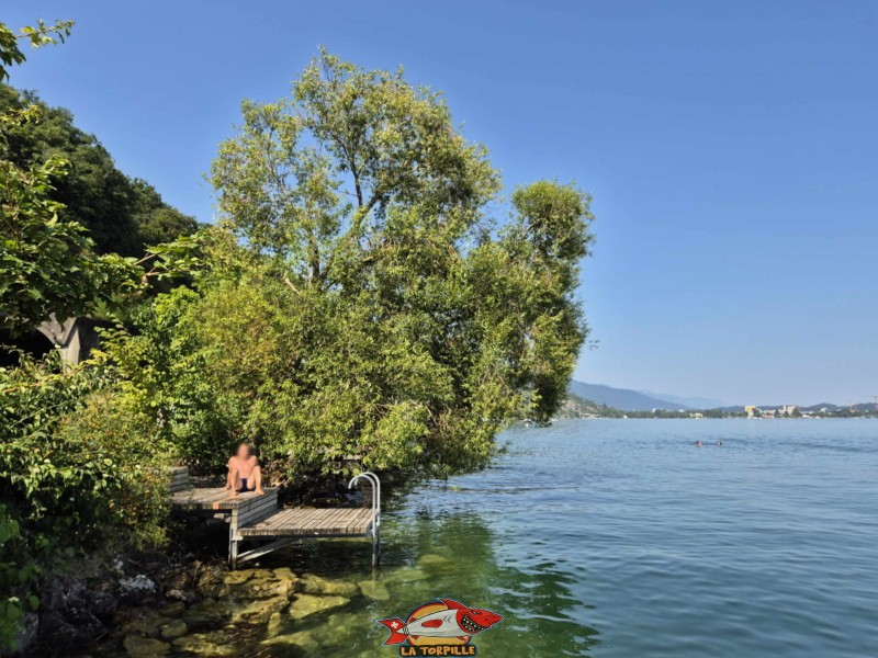 Plusieurs pontons en bois munis d'une échelle permettent d'accéder au lac facilement.