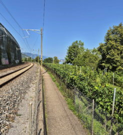 🏖️ Zone de Baignade de Funtelen – Alfermée