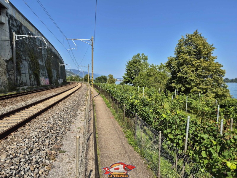Les photos du chemin du bord du lac à proximité du bain de Funtelen.