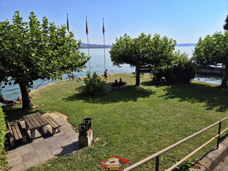 La zone de pelouse est adossée au nord du petit port d'Alfermée, et, en même temps, sous la voie de chemin de fer et la route du lac. Plage du Port Alfermée, Douanne-Daucher, Twann-Tüscherz.