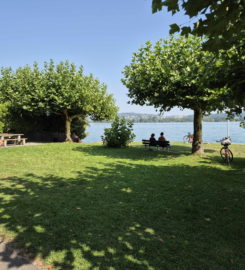 🏖️ Plage du Port d’Alfermée