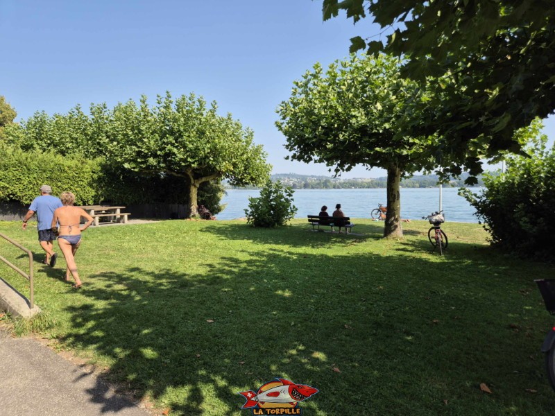 La zone de pelouse est adossée au nord du petit port d'Alfermée, et, en même temps, sous la voie de chemin de fer et la route du lac. Plage du Port Alfermée, Douanne-Daucher, Twann-Tüscherz.