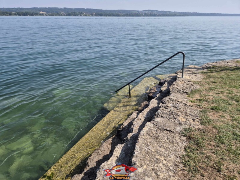 Les enrochements en bordure de pelouse. Plage du Port Alfermée, Douanne-Daucher, Twann-Tüscherz.