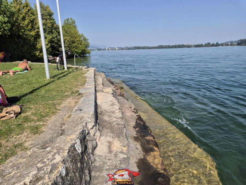 Les enrochements en bordure de pelouse. Plage du Port Alfermée, Douanne-Daucher, Twann-Tüscherz.