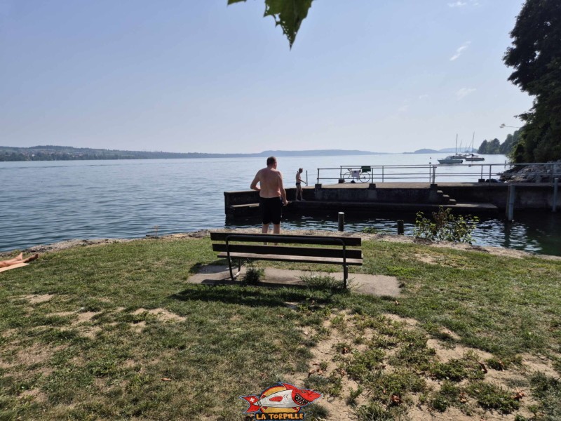 La zone de pelouse est adossée au nord du petit port d'Alfermée, et, en même temps, sous la voie de chemin de fer et la route du lac. Plage du Port Alfermée, Douanne-Daucher, Twann-Tüscherz.