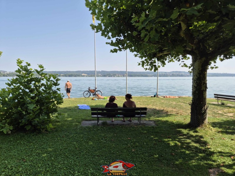 La zone de pelouse est adossée au nord du petit port d'Alfermée, et, en même temps, sous la voie de chemin de fer et la route du lac. Plage du Port Alfermée, Douanne-Daucher, Twann-Tüscherz.