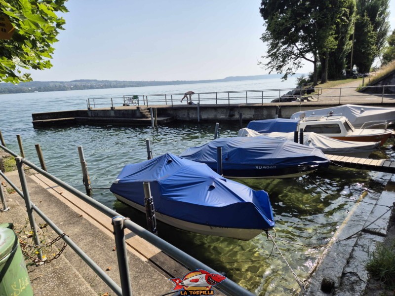 Le petit port d'Alfermée. Plage du Port Alfermée, Douanne-Daucher, Twann-Tüscherz.
