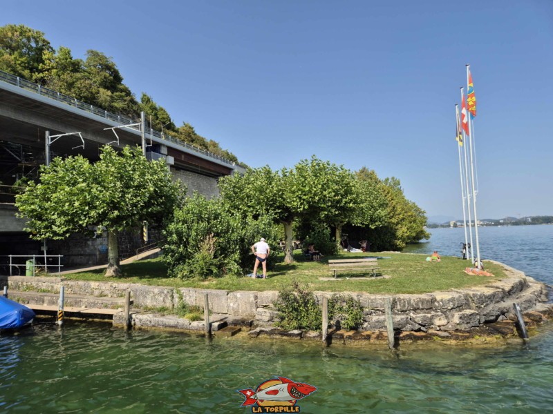 La zone de pelouse est adossée au nord du petit port d'Alfermée, et, en même temps, sous la voie de chemin de fer et la route du lac. Plage du Port Alfermée, Douanne-Daucher, Twann-Tüscherz.