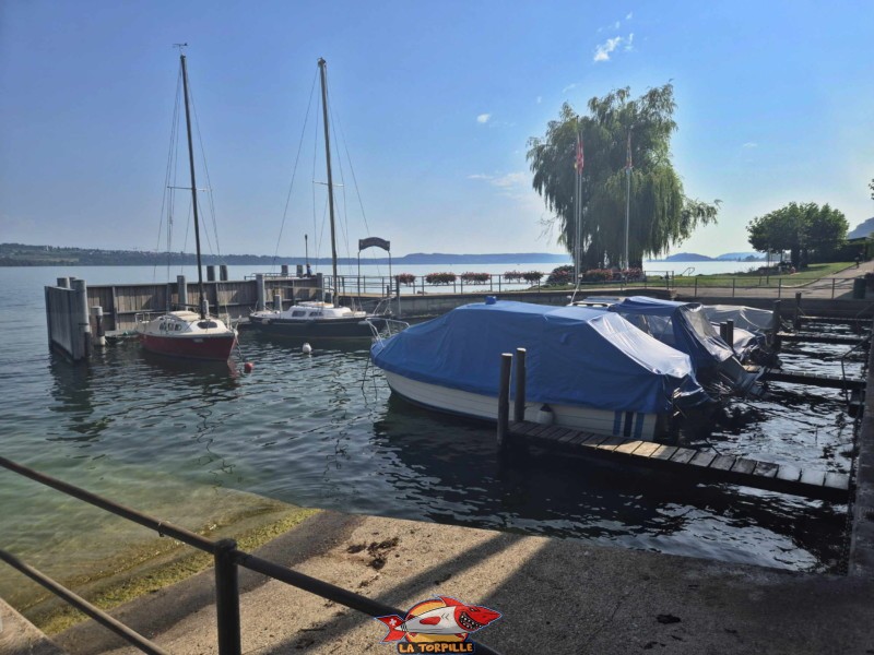 Le petit port de Daucher, à côté du débarcadère.
