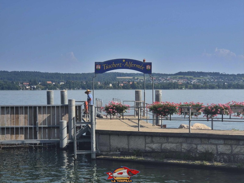 Le débarcadère de Daucher-Alfermée se trouve sous la gare de Daucher.