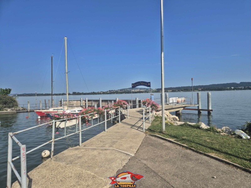 Le débarcadère de Daucher-Alfermée se trouve sous la gare de Daucher.
