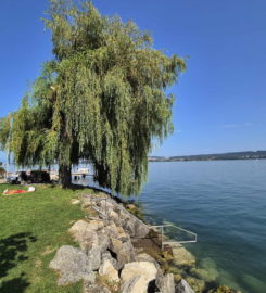 🛳️🏖️ Débarcadère de Daucher-Alfermée