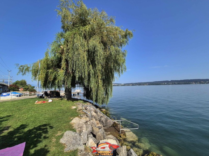 plage du débarcadère