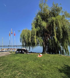 🛳️🏖️ Débarcadère de Daucher-Alfermée