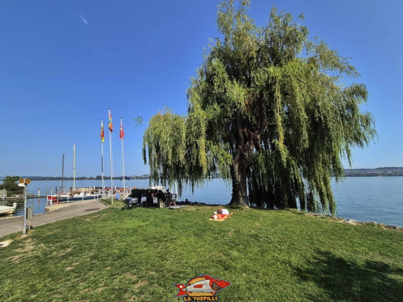 Le débarcadère de Daucher-Alfermée se trouve sous la gare de Daucher.