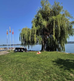 🛳️🏖️ Débarcadère de Daucher-Alfermée