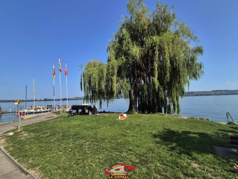 plage du débarcadère