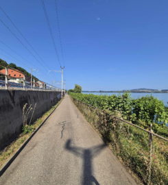 🏖️ Plage de Daucher (Tüscherz)
