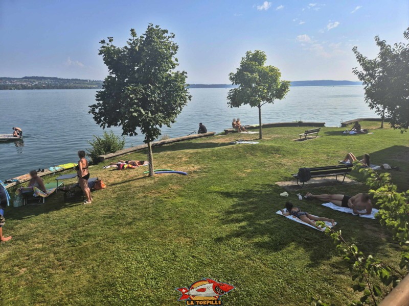 Le côté nord de la plage de Daucher depuis le chemin des rives. La plage de Daucher, Tüscherz, Lac de Bienne. Le côté nord de la plage de Daucher depuis le chemin des rives. La plage de Daucher, Tüscherz, Lac de Bienne.