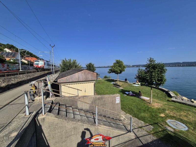 Le côté sud de la plage de Daucher depuis le chemin des rives. La plage de Daucher, Tüscherz, Lac de Bienne. Le côté sud de la plage de Daucher depuis le chemin des rives. La plage de Daucher, Tüscherz, Lac de Bienne.