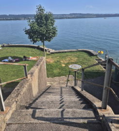 🏖️ Plage de Daucher (Tüscherz)