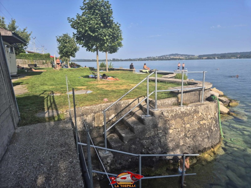 Les photos de la pelouse de la plage de Daucher. La plage de Daucher, Tüscherz, Lac de Bienne.