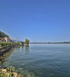 🏖️ Plage de Daucher (Tüscherz)