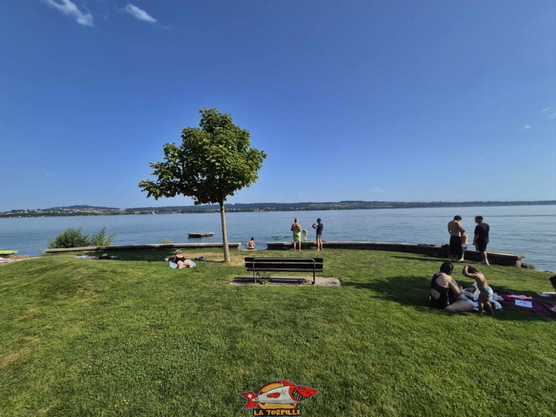 Les photos de la pelouse de la plage de Daucher. La plage de Daucher, Tüscherz, Lac de Bienne.