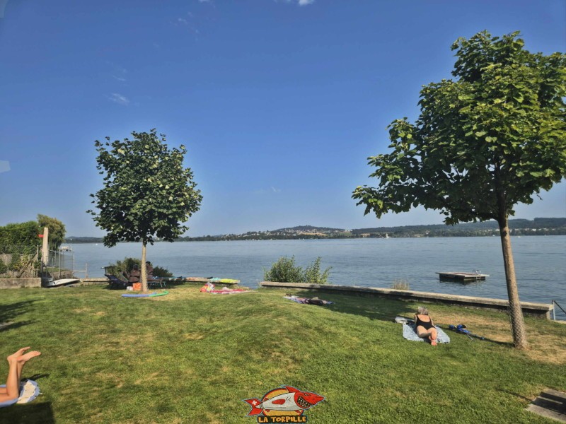 Les photos de la pelouse de la plage de Daucher. La plage de Daucher, Tüscherz, Lac de Bienne.