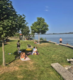 🏖️ Plage de Daucher (Tüscherz)