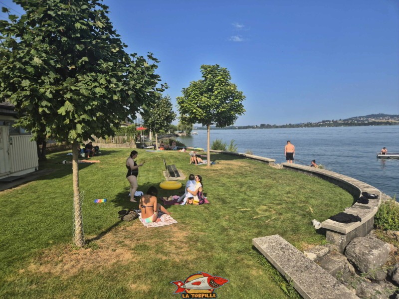 Les photos de la pelouse de la plage de Daucher. La plage de Daucher, Tüscherz, Lac de Bienne.