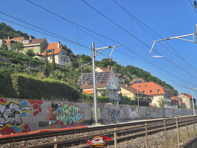 La vue, depuis le chemin des rives, au-dessus de la plage, sur les maison de Daucher (Tüscherz). La plage de Daucher, Tüscherz, Lac de Bienne. La vue, depuis le chemin des rives, au-dessus de la plage, sur les maison de Daucher (Tüscherz). La plage de Daucher, Tüscherz, Lac de Bienne.