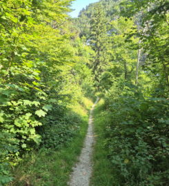 ⛰️ Gorges de Court – Moutier