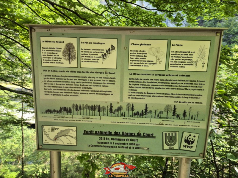 Un des panneaux d'information le long du parcours. Le sentier le long de le rive gauche de la Birse. Gorges de Court - Moutier