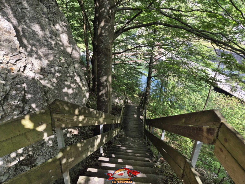 Le sentier le long de le rive gauche de la Birse. Gorges de Court - Moutier