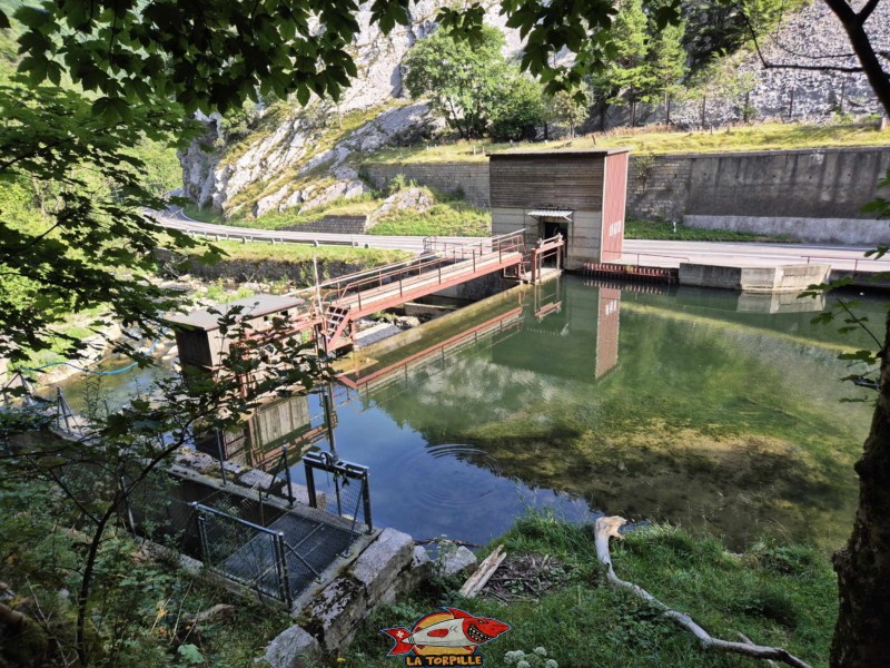 Le sentier le long de le rive gauche de la Birse. Gorges de Court - Moutier
