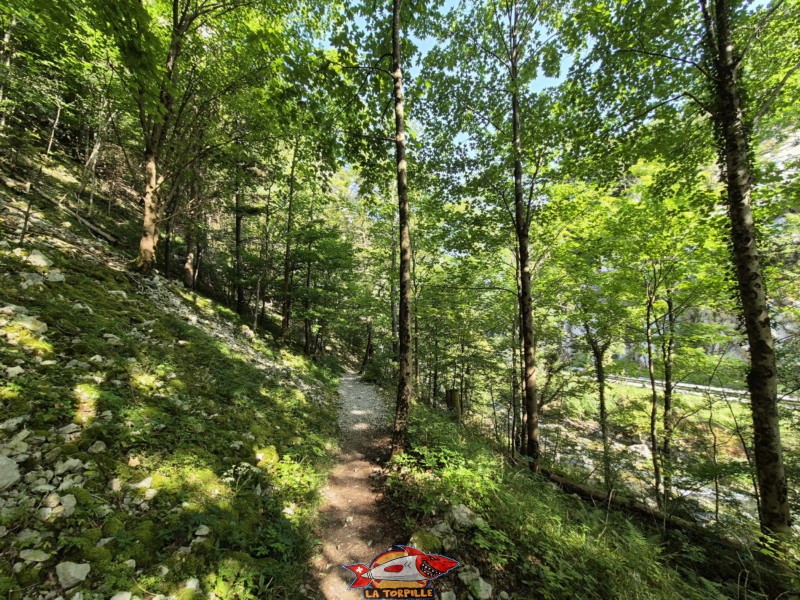 Le sentier le long de le rive gauche de la Birse. Gorges de Court - Moutier
