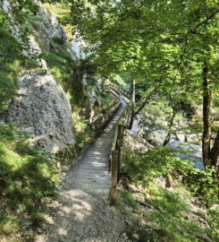 ⛰️ Gorges de Court – Moutier