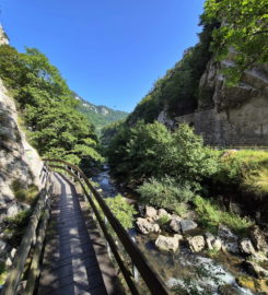 ⛰️ Gorges de Court – Moutier