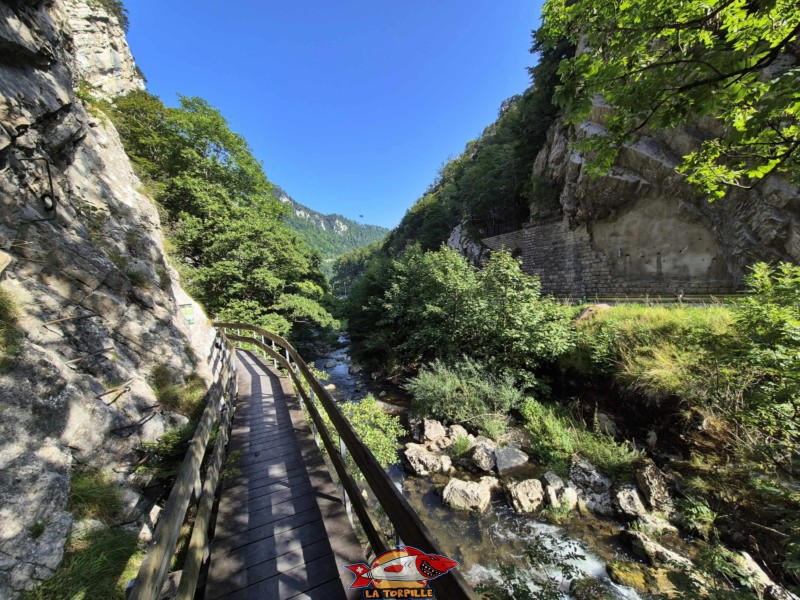 Les gorges de Court avec la rivière la Birse.