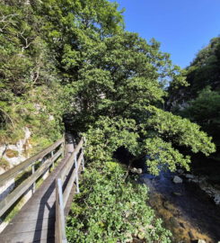 ⛰️ Gorges de Court – Moutier