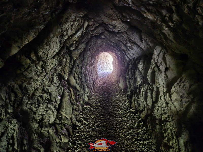 Le sentier le long de le rive gauche de la Birse. Gorges de Court - Moutier