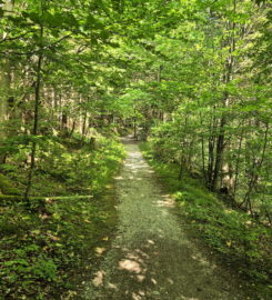 ⛰️ Gorges de Court – Moutier