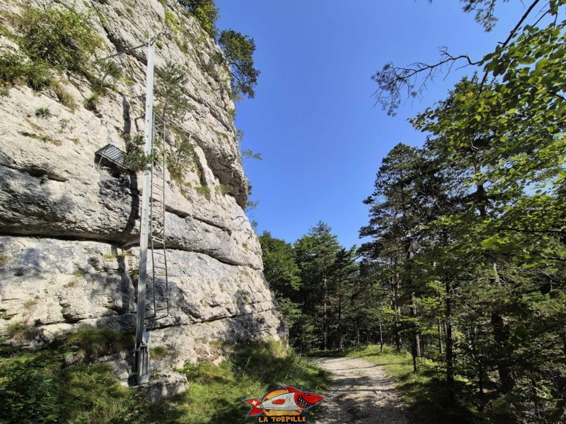 Le sentier le long de le rive gauche de la Birse. L'arrivée sur une petite route en graviers, on se retrouve alors dans la commune de Moutier et... le canton du Jura ! Gorges de Court - Moutier