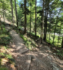 ⛰️ Gorges de Court – Moutier