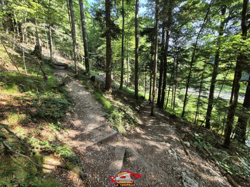 Le sentier le long de le rive gauche de la Birse. Gorges de Court - Moutier