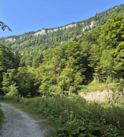⛰️ Gorges de Court – Moutier