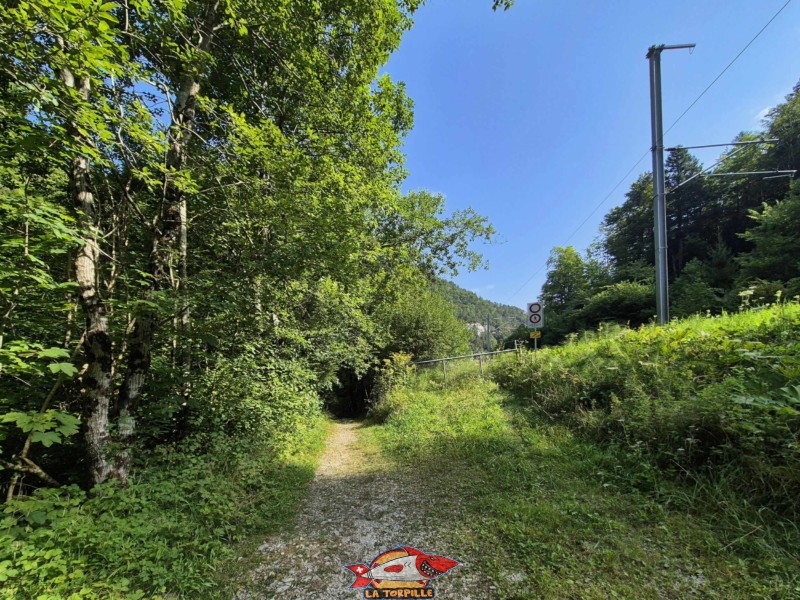 Le chemin longe la ligne de chemin de fer Court - Moutier. Rive droite de la Birse. Gorges de Court - Moutier